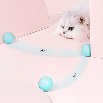 360° Rotating LED Cat Ball