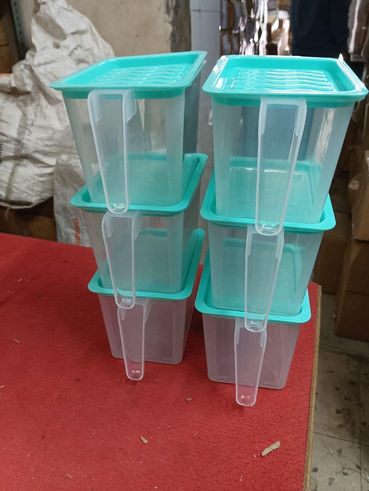 Plastic Storage Container – 6 Pieces, 1L Each
