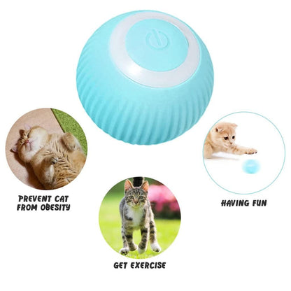 360° Rotating LED Cat Ball