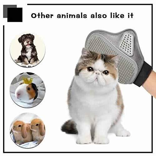 Gentle Deshedding Pet Glove